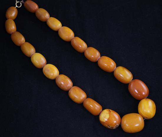 A single strand graduated ovoid amber bead necklace, 19in.